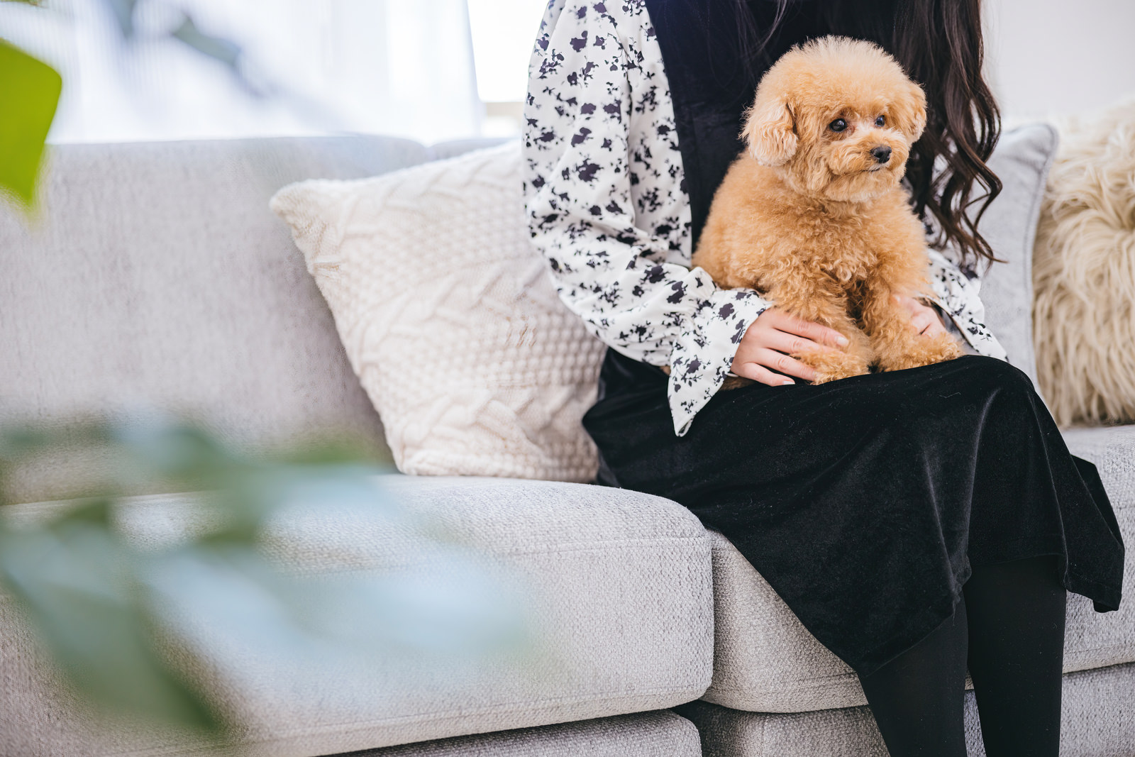 愛犬のためのアロマクラフト体験ワークショップ