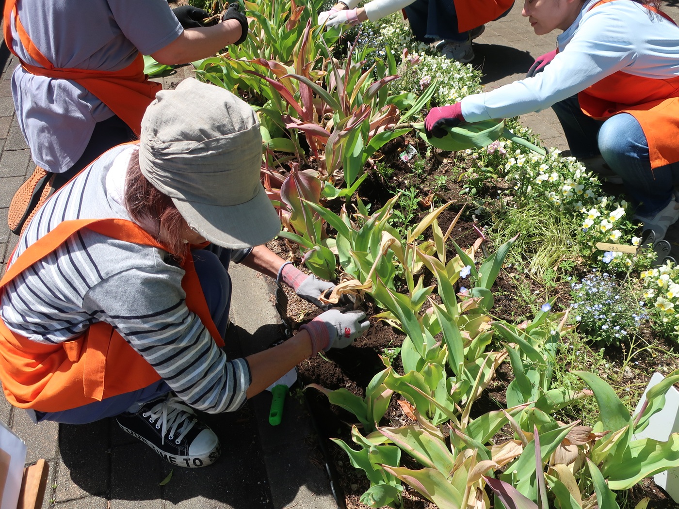 とねりガーデナーズ「夏に向けた花壇の植え替え」