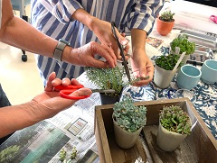 とねりガーデニング・クラス「初夏 香るハーブの寄せ植え」
