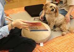 わんちゃんへの読み語り~読書犬とふれあおう~