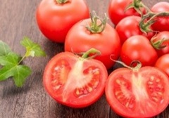 東大の先生と学ぶ！トマトのひみつ大研究